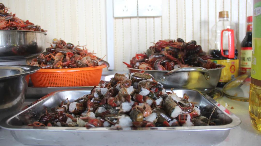 24_1080 �� 607_87.4 KB.jpg